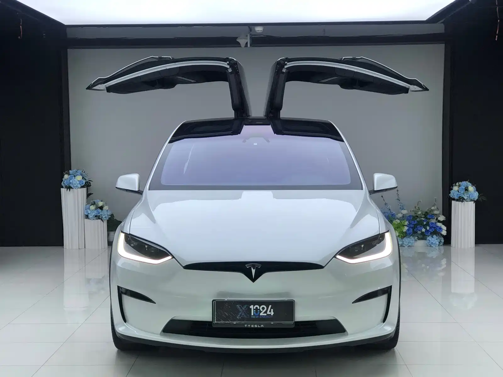 Фото 2 - Tesla Model X