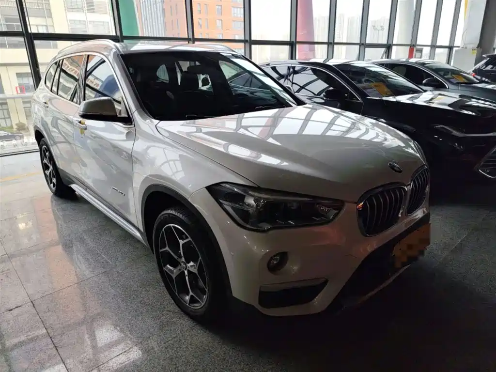 BMW X1 2018 xDrive20Li Premium Model фото 22