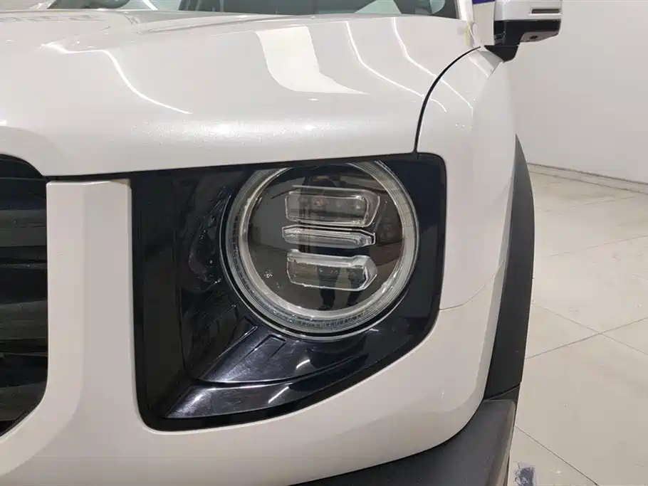 Haval Big Dog 2021 1.5T DCT 2WD Border Collie - Wangcai Edition фото 5