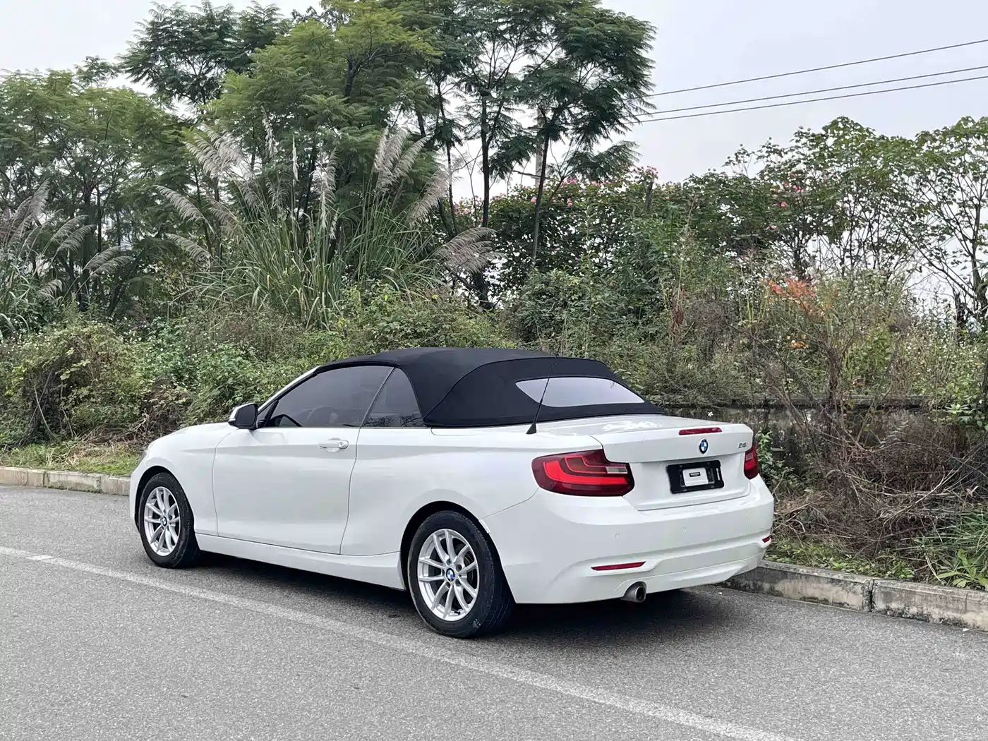 BMW 2 Series (Import) 2015 218i Convertible Coupe фото 11