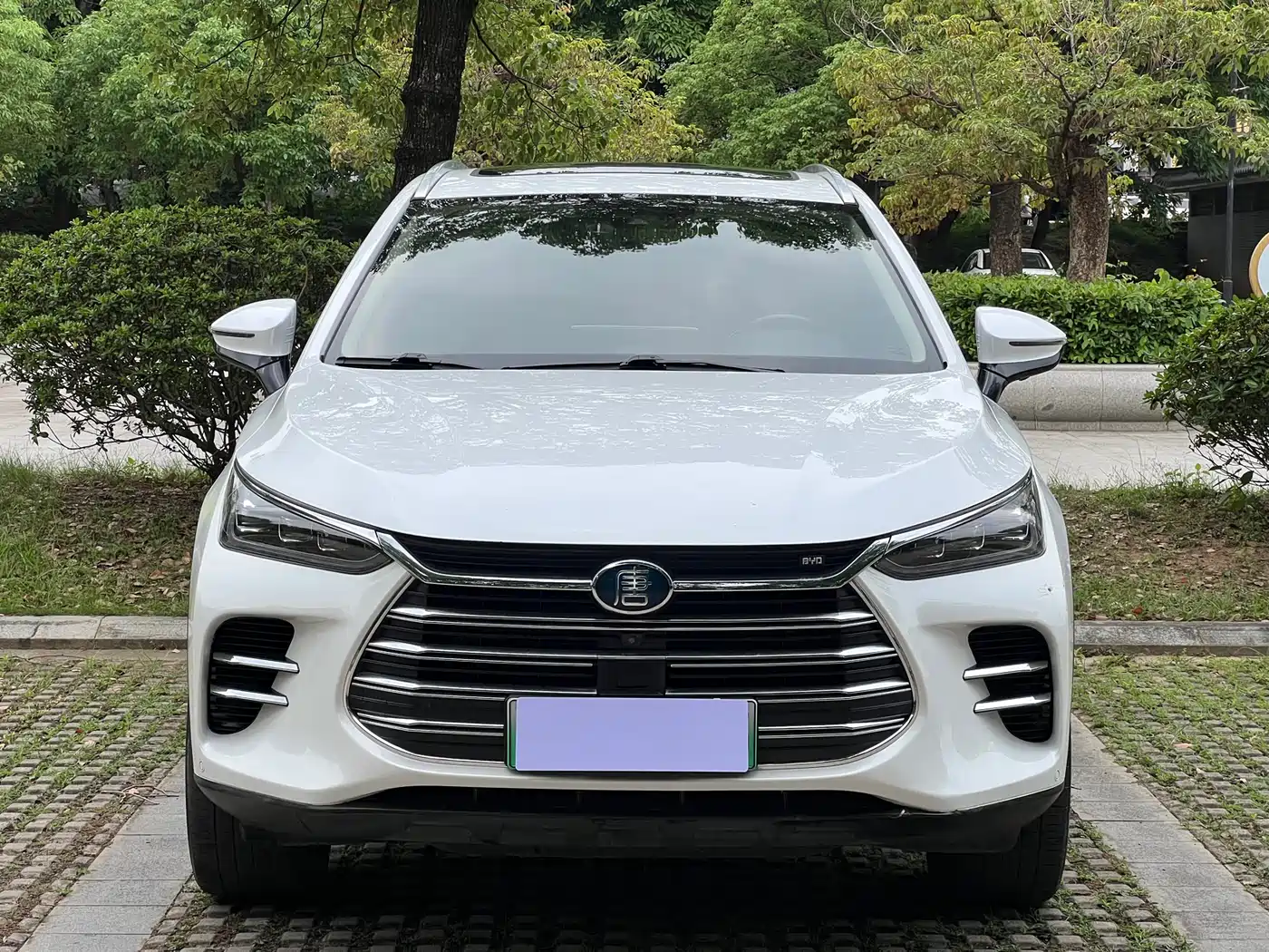 BYD Tang New Energy 2019 DM 2.0T AWD Intelligent Sharing Creation 7-seater China VI фото 2