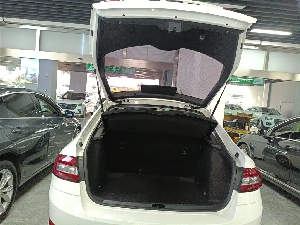 Škoda Octavia 2019 TSI230 DSG Smart Luxury Edition China V фото 18