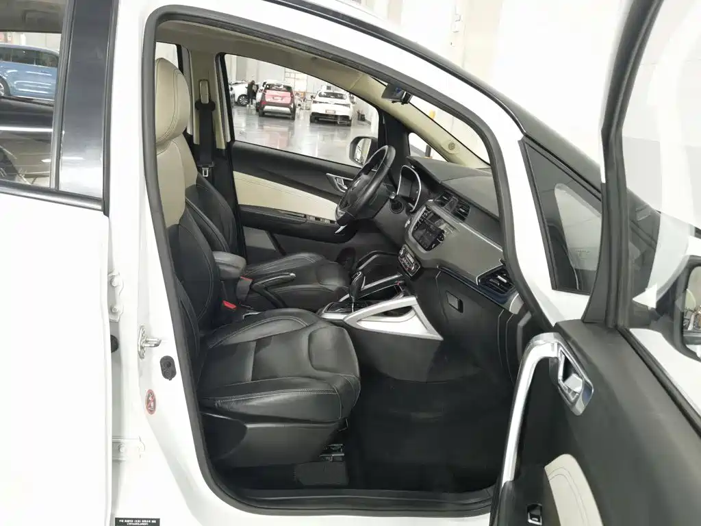 Ruilan Auto Maple 30X 2020 2020 Elegance Edition