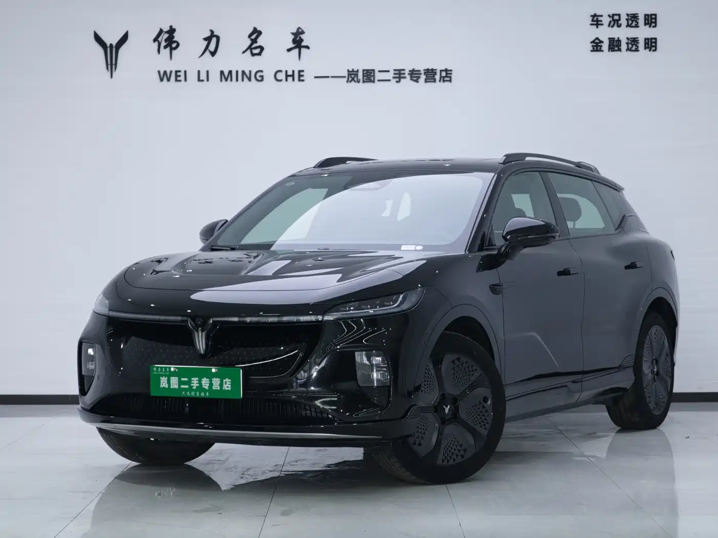 Voyah Auto Voyah Zhiyin 2024 4WD Global Edition