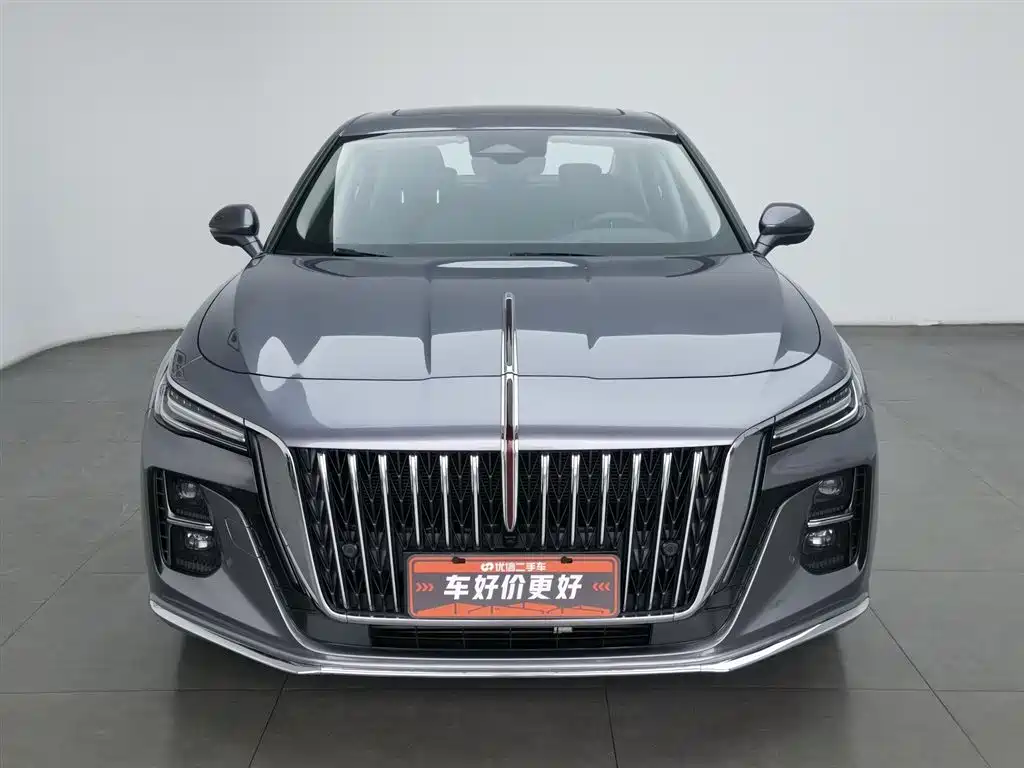 Hongqi H5 2023 2.0T Auto Smart Connect Flag Enjoy фото 3