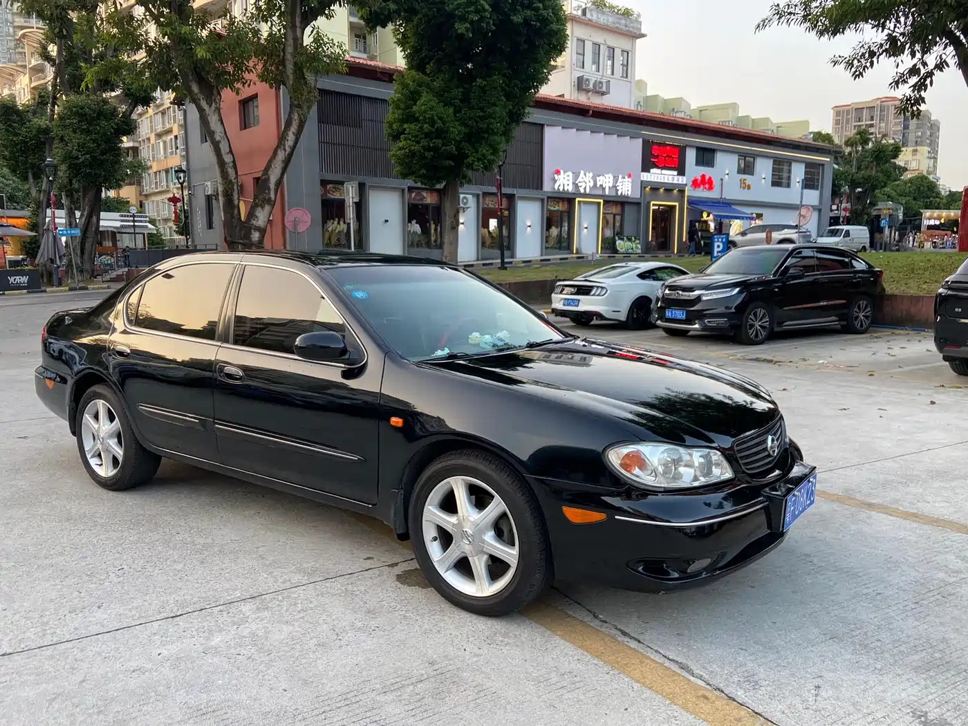 Nissan Cefiro 2004 3.0 фото 2