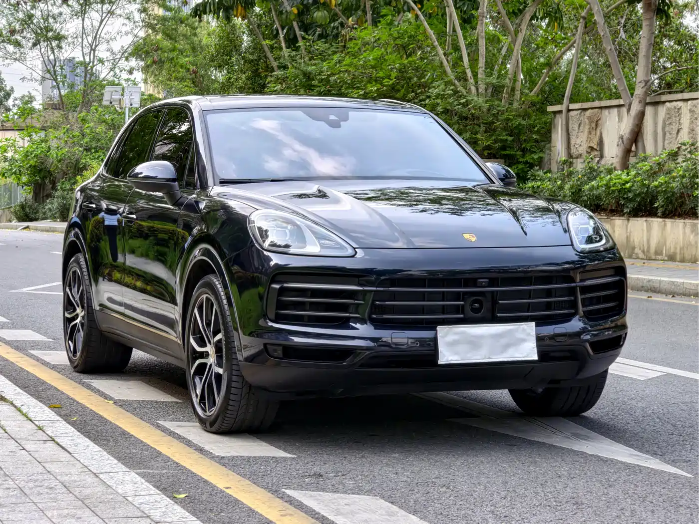 Porsche Cayenne 2022 Cayenne 3.0T Platinum Edition фото 3