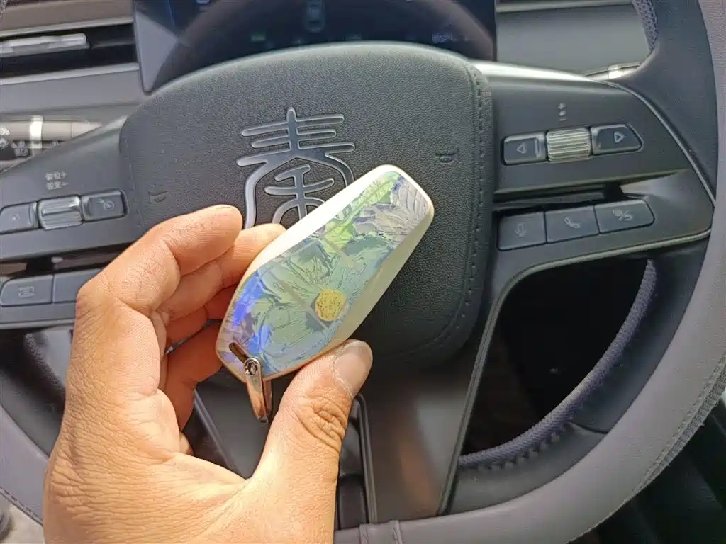 BYD Qin PLUS 2025 DM-i Smart Drive 55KM Leader фото 9