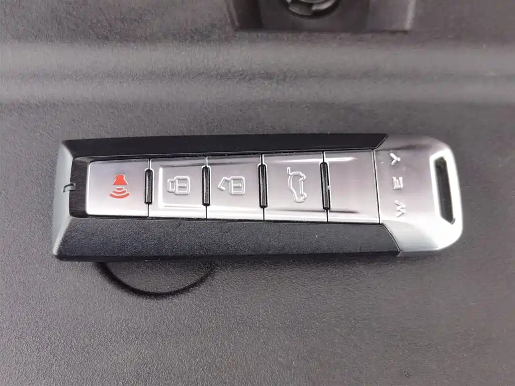 Tank 300 2021 Off-road Edition 2.0T Challenger фото 19