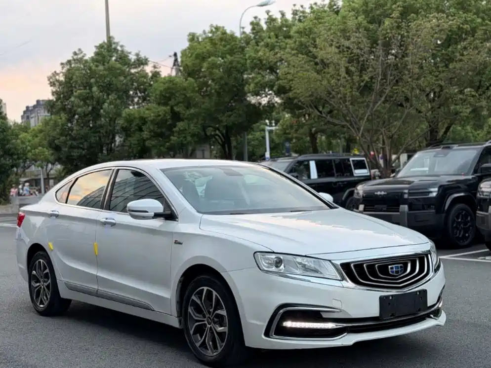 Фото 3 - Geely Borui
