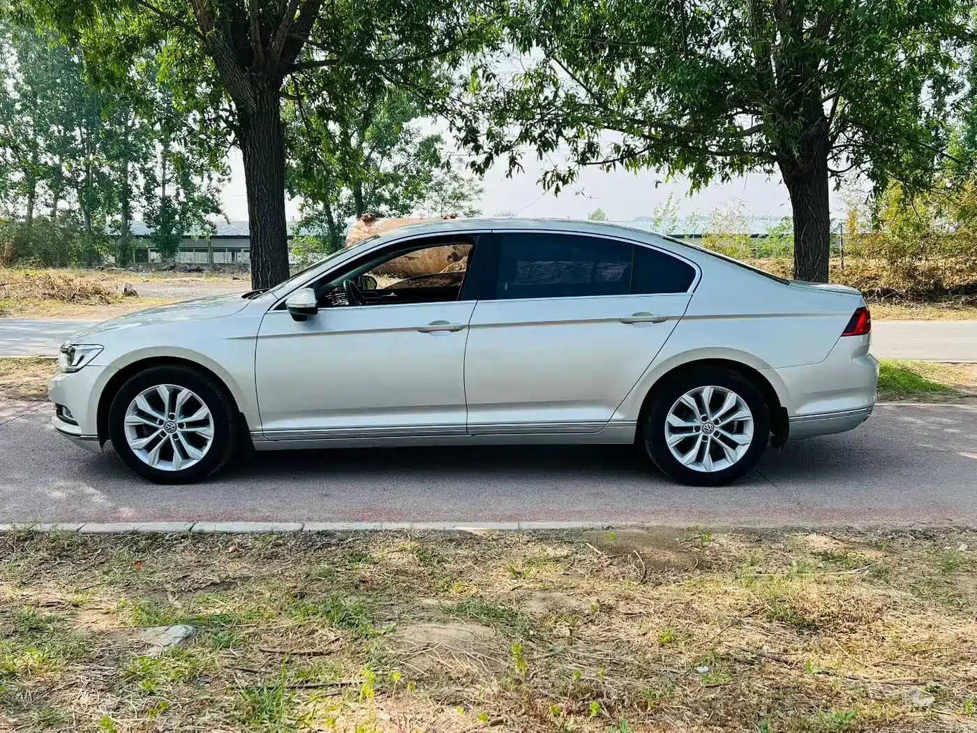 Volkswagen Magotan 2017 380TSI DSG Luxury фото 9