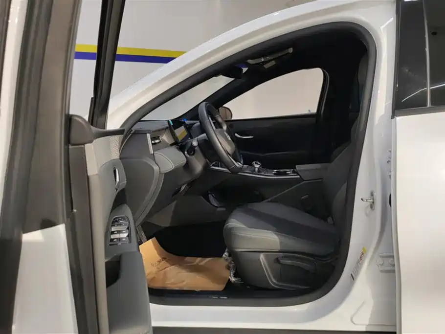 BYD Qin PLUS 2025 DM-i Smart Drive 55KM Leader фото 9