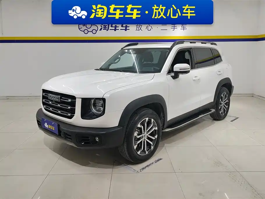 Haval Big Dog 2021 1.5T DCT 2WD Border Collie - Wangcai Edition