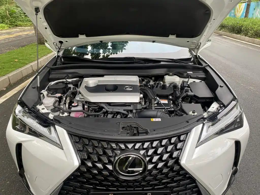 Lexus UX 2024 2022 260h Fun Edition