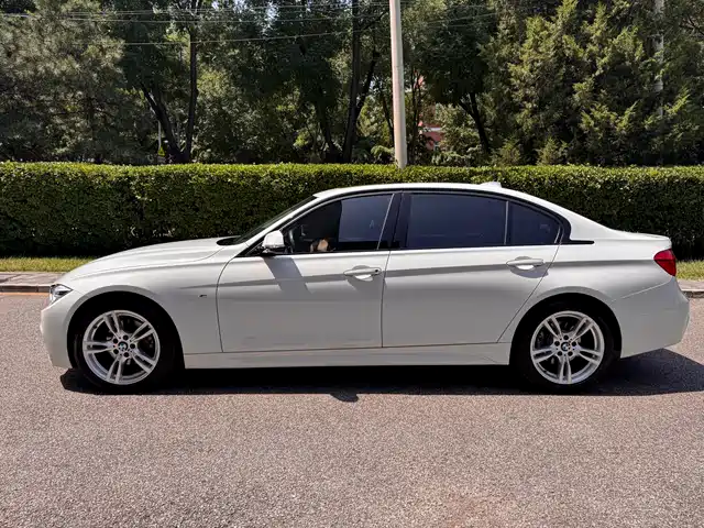 BMW 3 Series 2019 320Li M Sport Package — фото 3