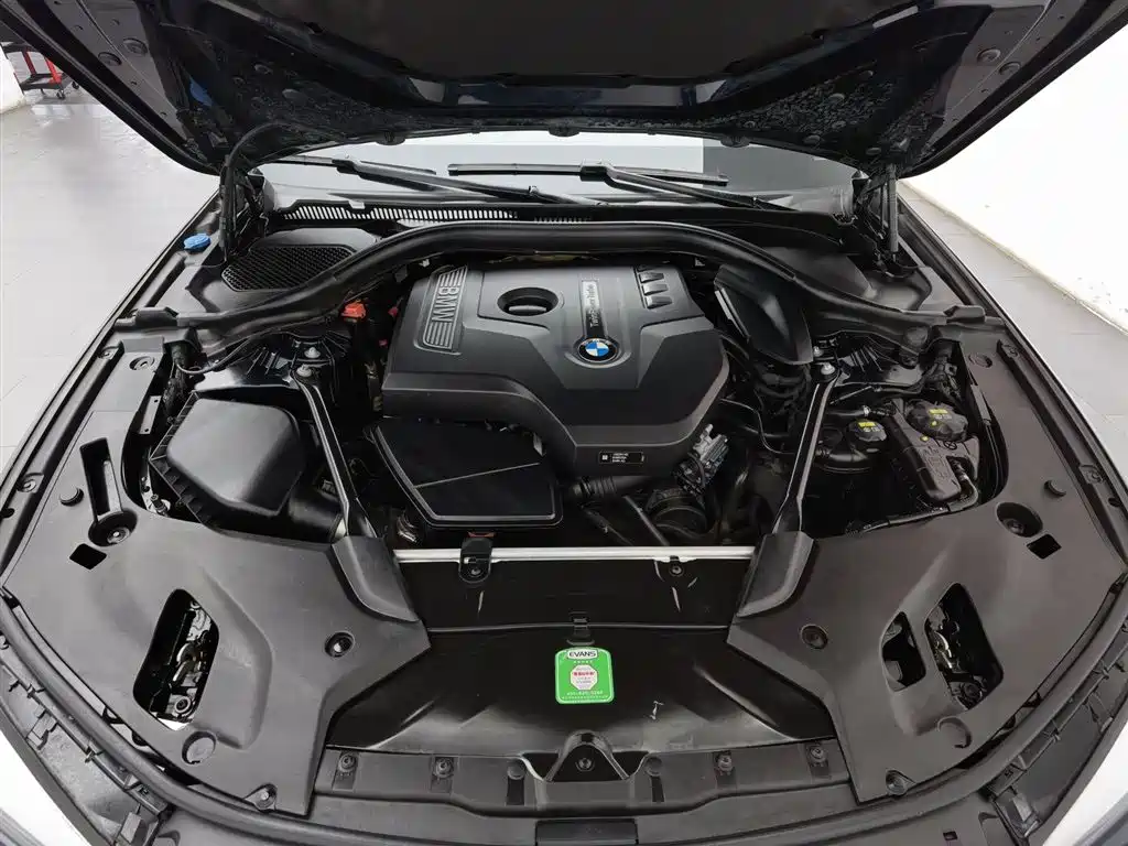 BMW 5 Series (Import) 2018 525i M Sport Package фото 6