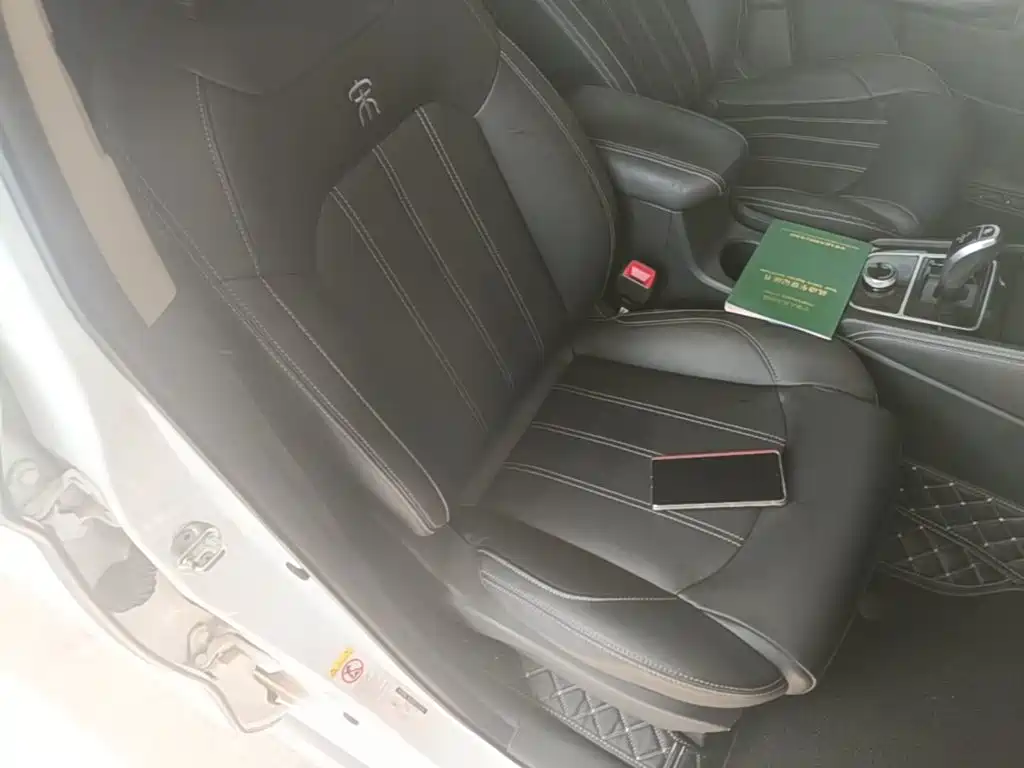 BYD Song New Energy 2019 2019 Song EV500 Smart Connection Premium