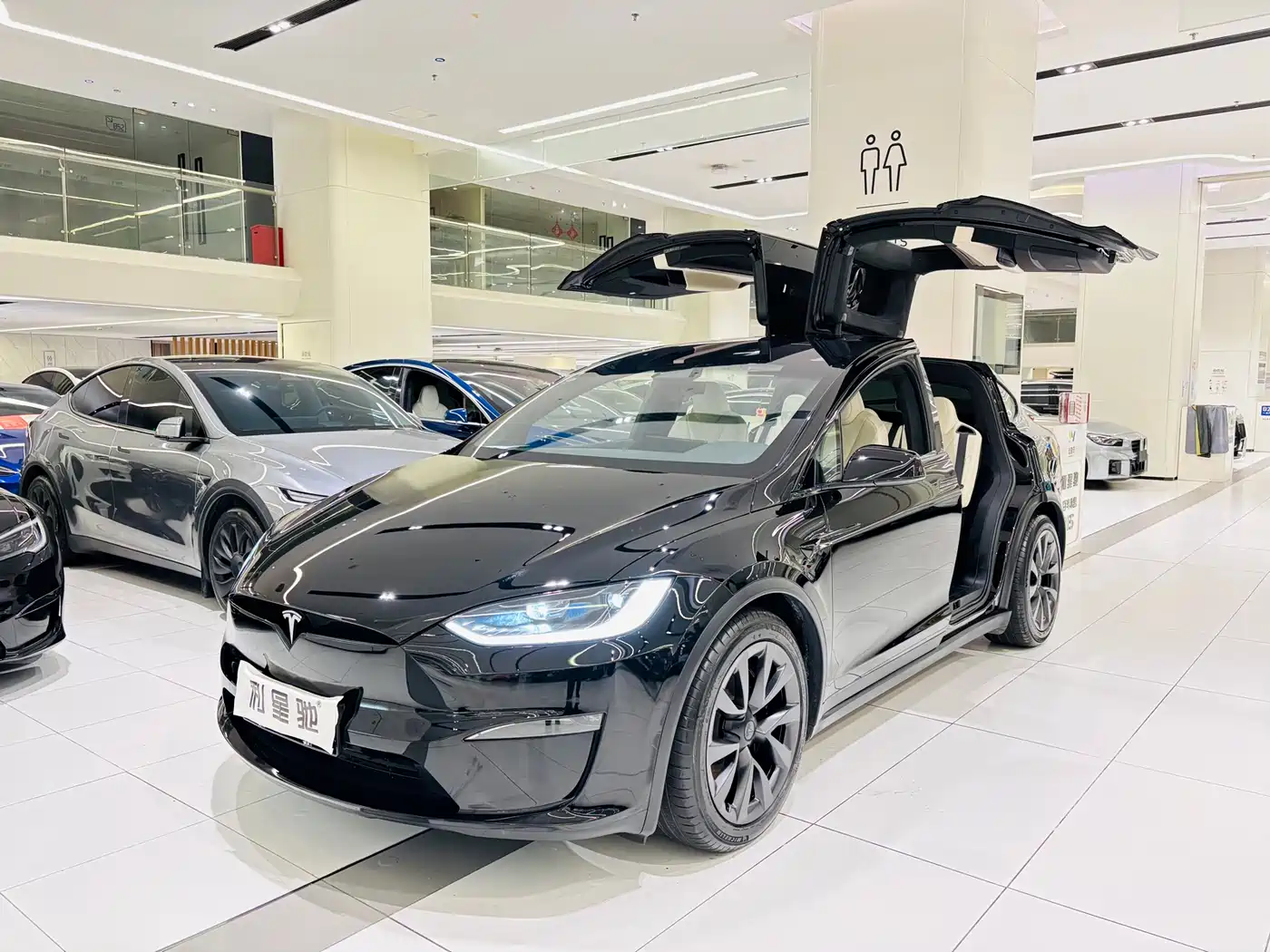 TESLA MODEL X