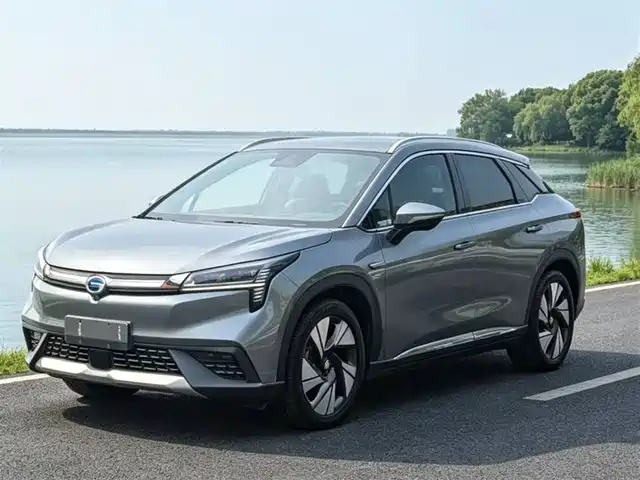 Aion AION LX 2019 Model 80