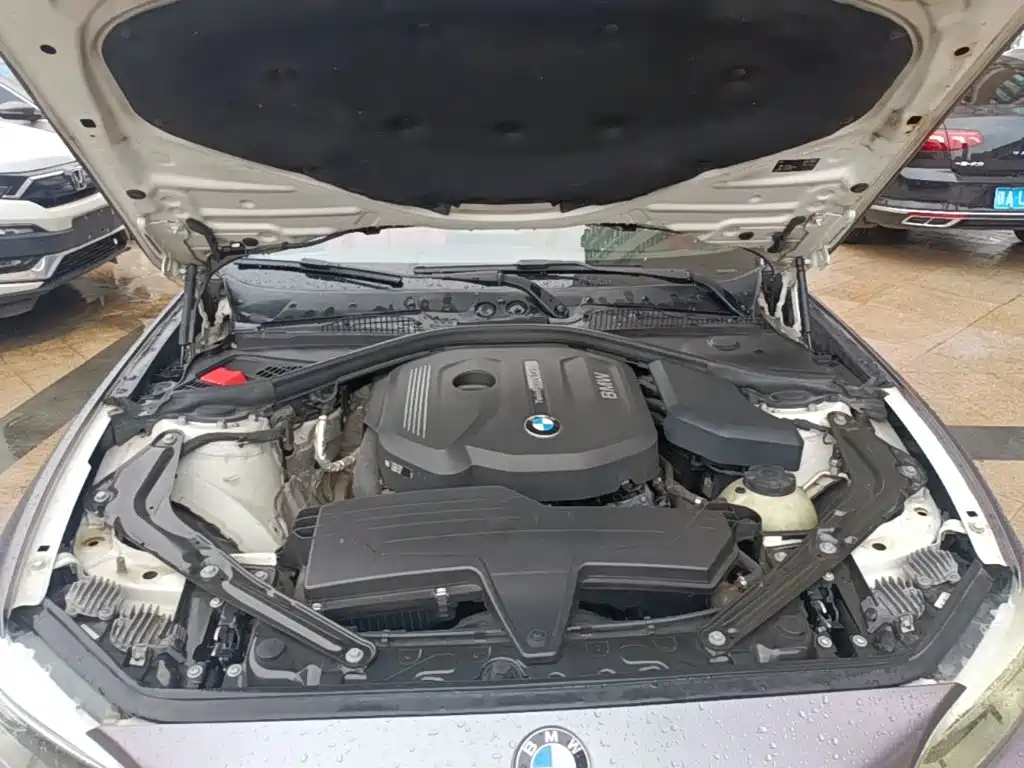 Photo 20 - BMW 2 Series (Import)