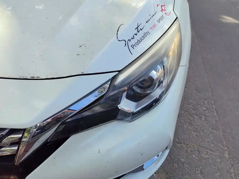 2018 Venucia T90