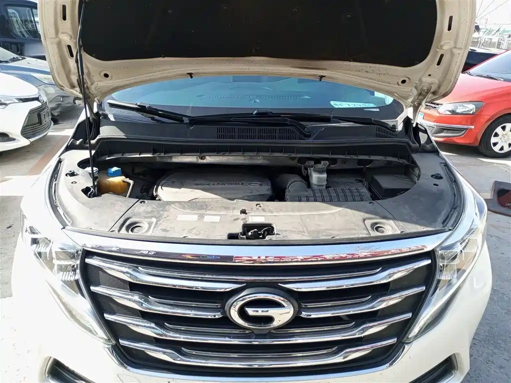 GAC Trumpchi Trumpchi M8 2018 320T Premium Edition фото 19