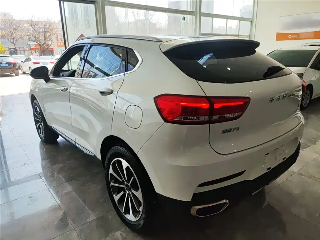 Haval F5 2019 National Trend Edition 1.5T iTrend China VI фото 5