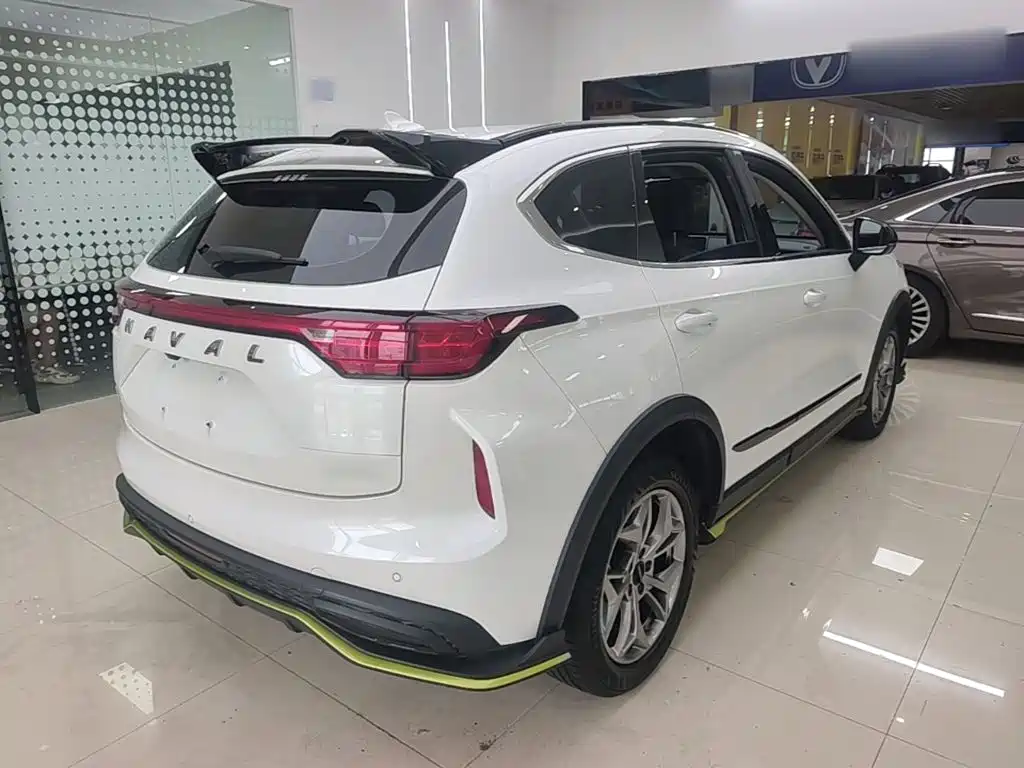 Haval Chitu 2022 2022 Power Edition 1.5T Purple Copper Rabbit