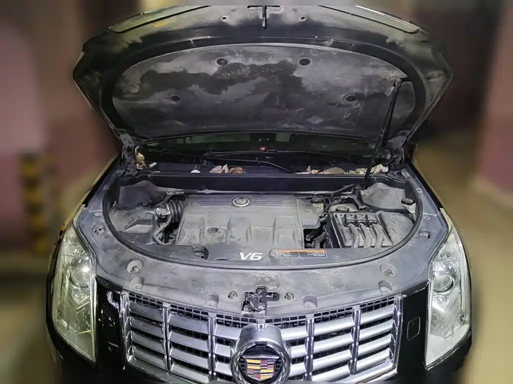 Cadillac SRX 2013 2013 3.0L Leading