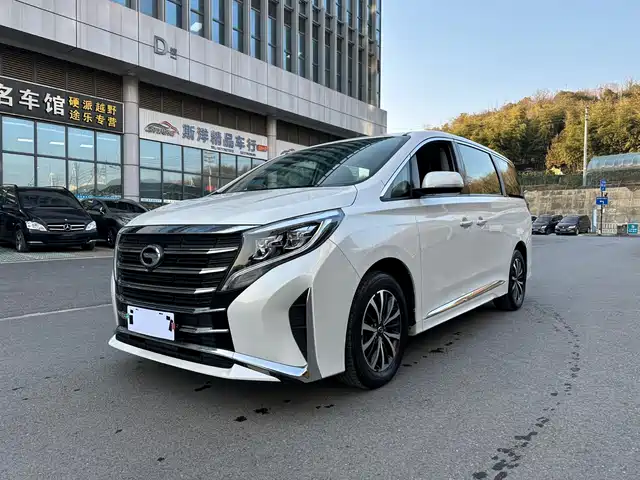 Trumpchi M8 Elegance Series, 390T, Люкс