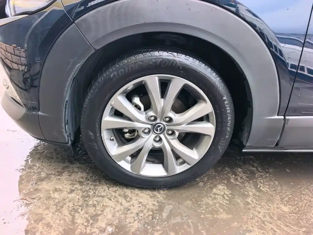 Mazda CX-30 2021 2021 2.0L Auto Elegant Joy Type