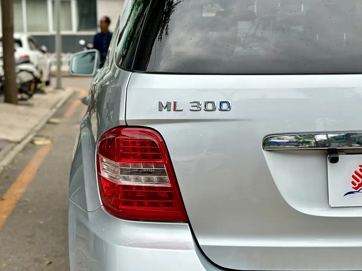 Mercedes-Benz M-Class 2010 ML 300 4MATIC фото 16