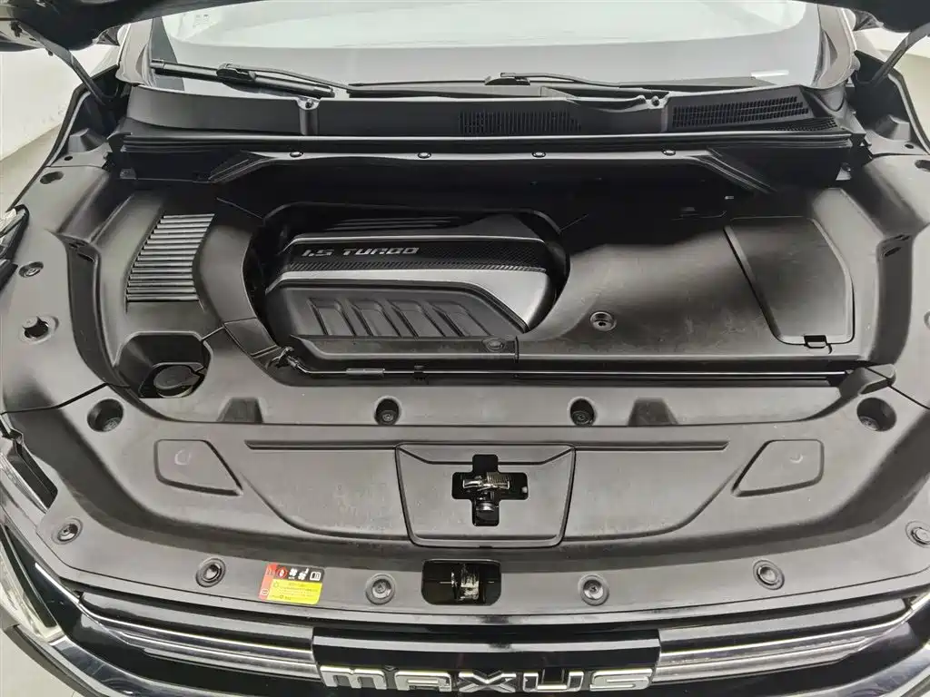 SAIC Maxus Maxus G50 2019 1.5T Automatic Luxury Edition China VI фото 6