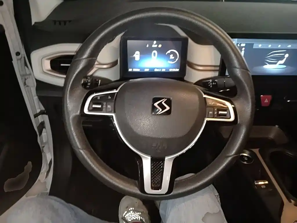 Sehol Flower Fairy 2021 2021 302km Luxury Edition 31.4kWh