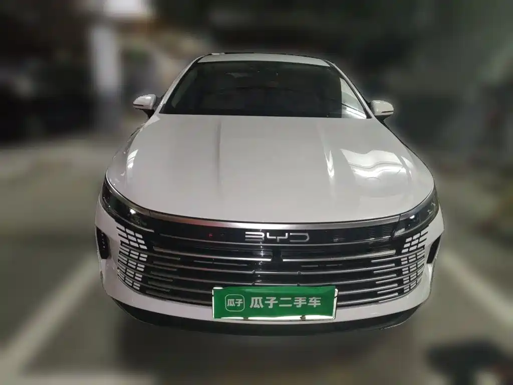 BYD Destroyer 05 2025 2024 Glory Edition DM-i 55KM Luxury
