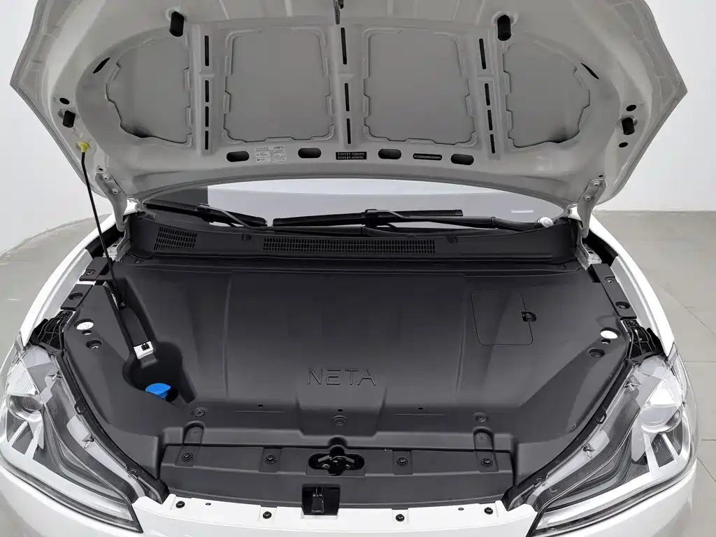 Nezha Auto Nezha V 2022 2022 Trend 400 Lite