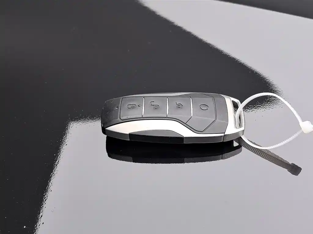 BYD Tang 2018 2.0T Automatic Smart Connection Honor Edition 7-Seater China V фото 19