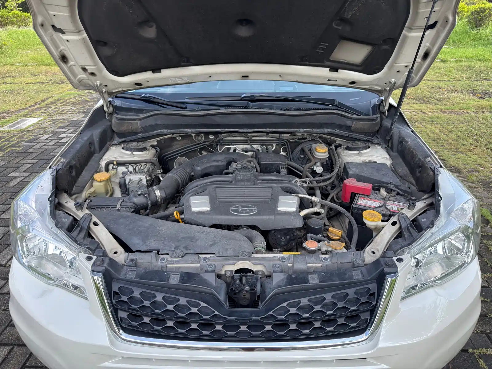 Photo 19 - Subaru Forester