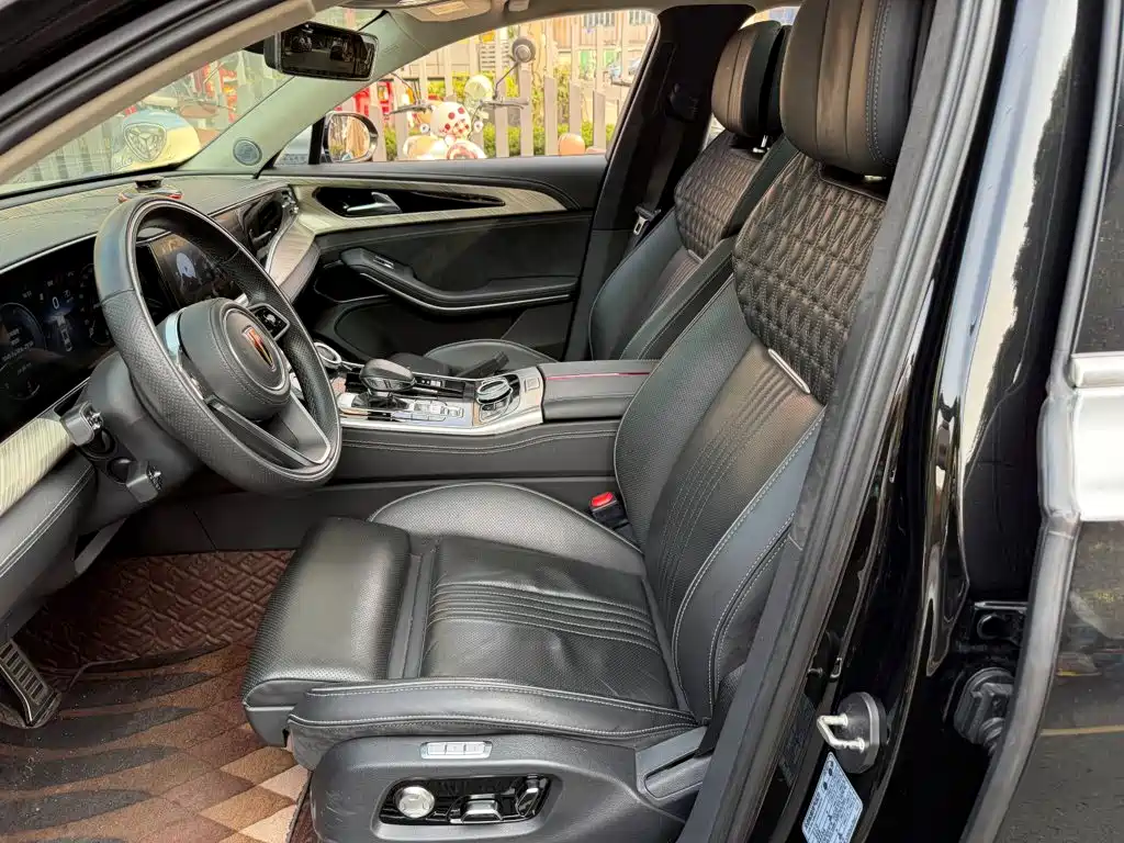صورة 8 - Hongqi H9