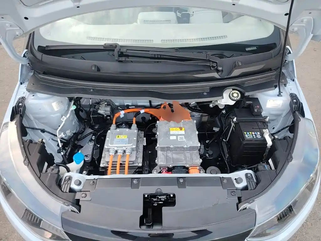 JMCG New Energy Little Kirin 2025 2024 201km Comfort Model