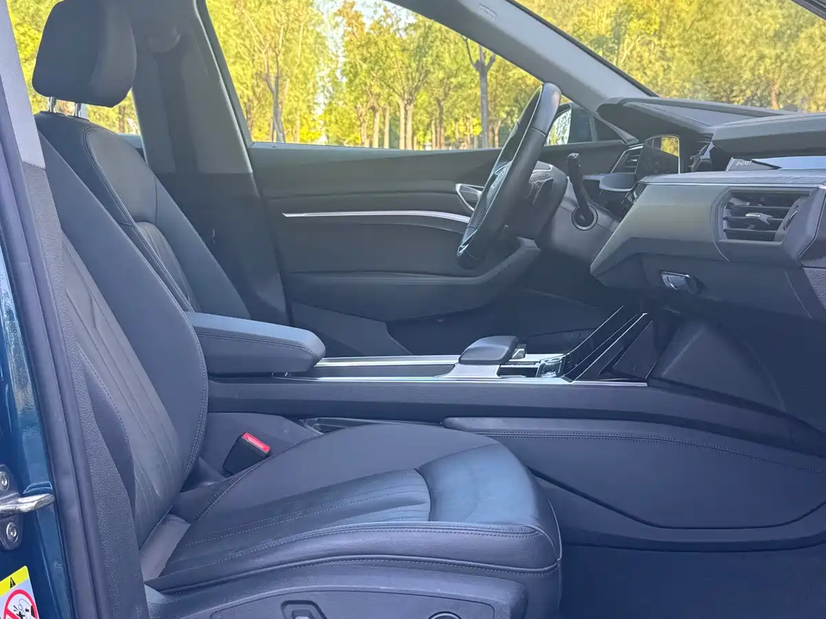 Audi e-tron (Import) 2021 2019 55 quattro Fashion