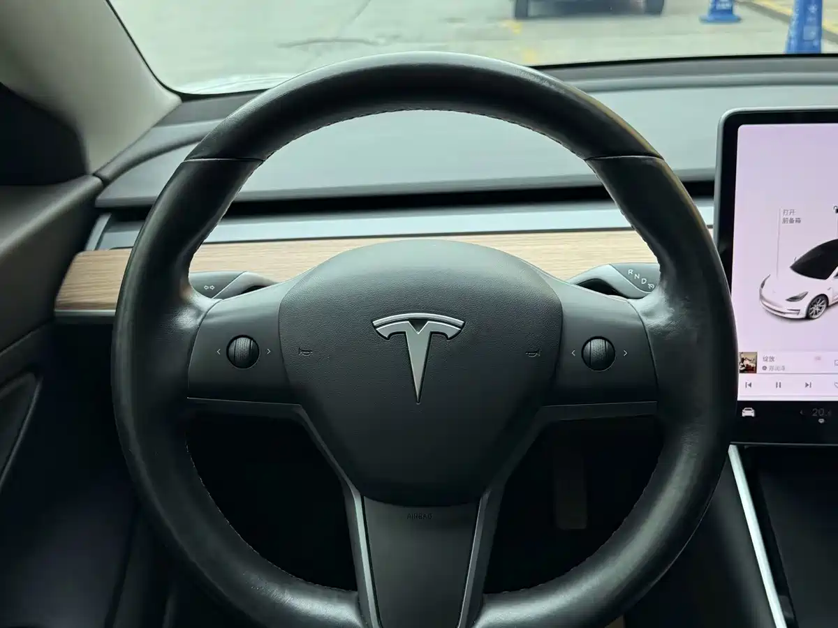 Tesla Model 3 (Import) 2019 2019 Long Range RWD Version