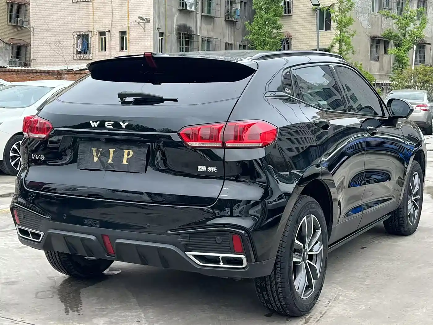 WEI PAI WEI BRAND VV5