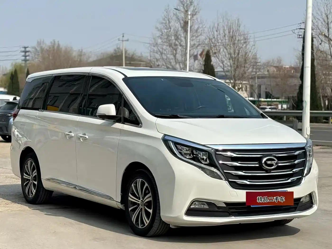 GAC Trumpchi Trumpchi M8 2020 390T Prestige фото 3