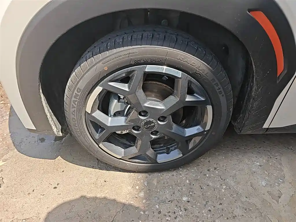 BYD Seagull 2025 Smart Drive Edition 405km Free Edition фото 23