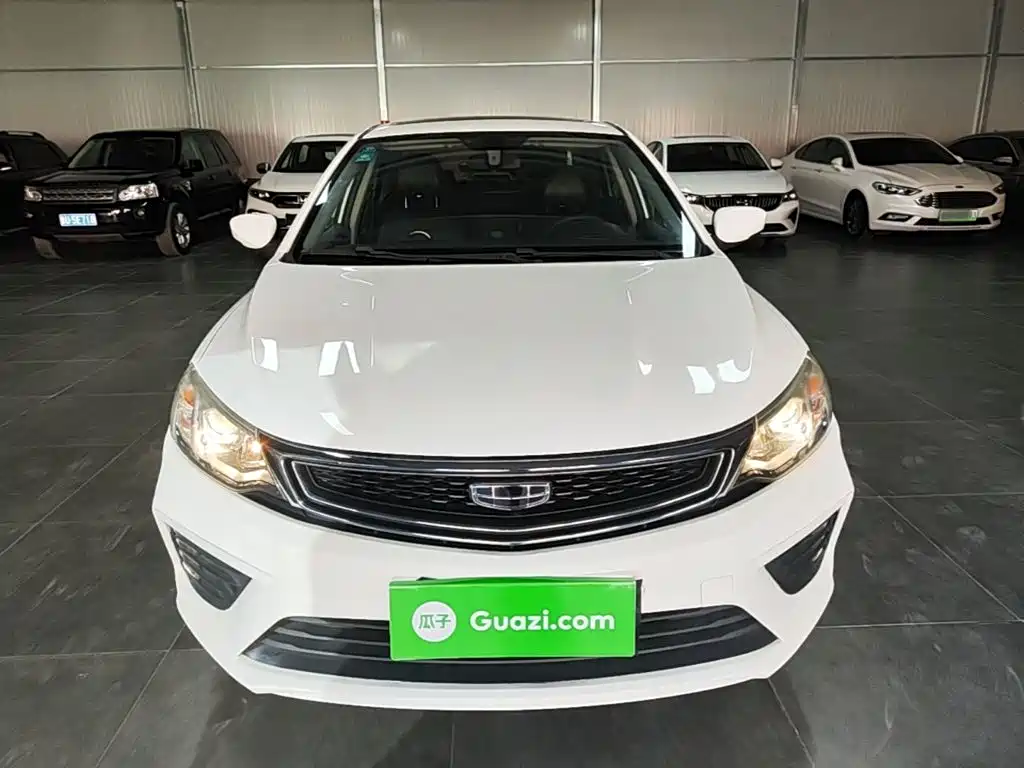 Фото 3 - Geely Vision