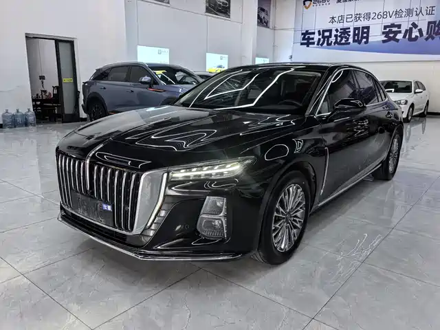 Hongqi H5 1.5T DCT, коннект