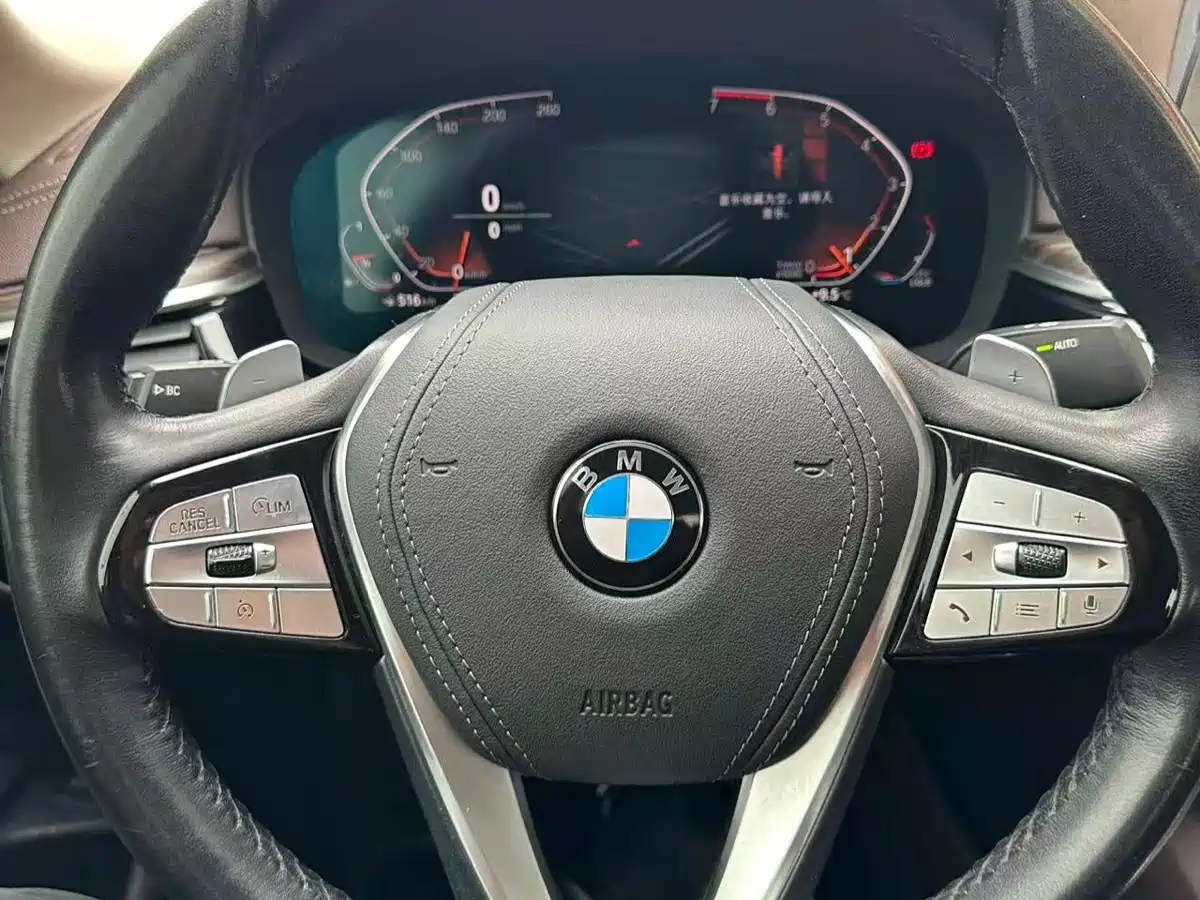 BMW 5 Series 2020 530Li Leading Luxury Package фото 15