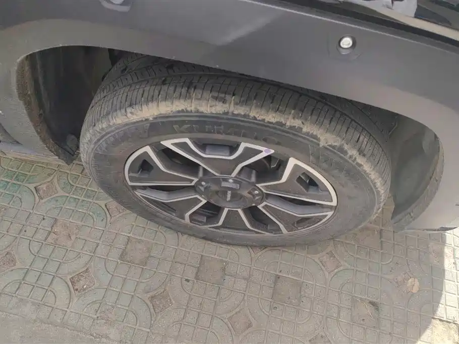 HAVAL SECOND GENERATION BIG DOG NEW ENERGY