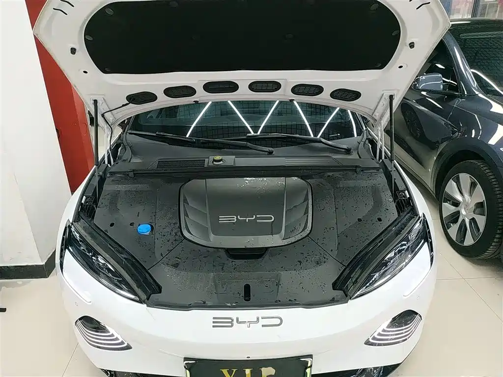 BYD Seal 2022 550km Standard Range RWD Premium фото 20